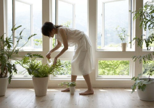 Breathe Better With The 20x25x1 HVAC Furnace Home Air Filter And Expert Vent Cleaning Services